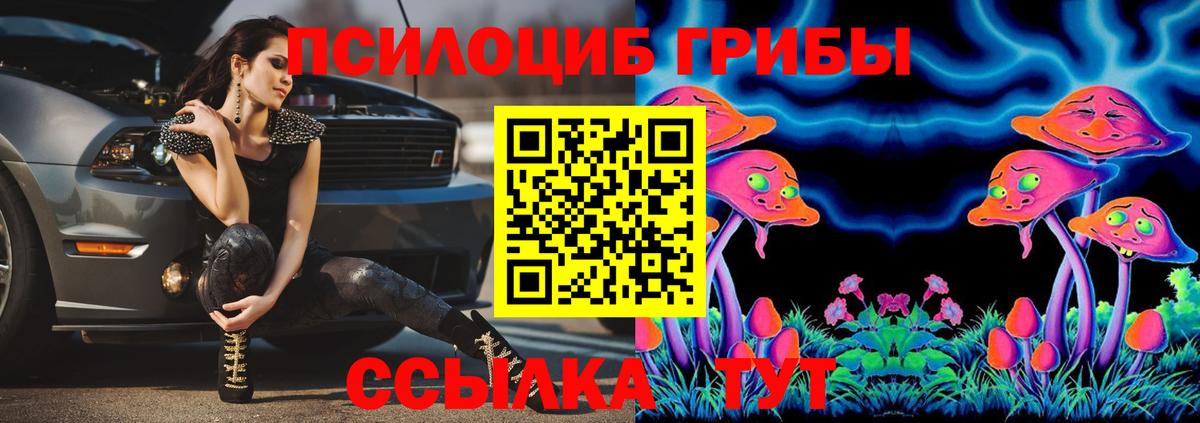 Михайловск  Галлюциногенные грибы прущие грибы  Вход с VPN 