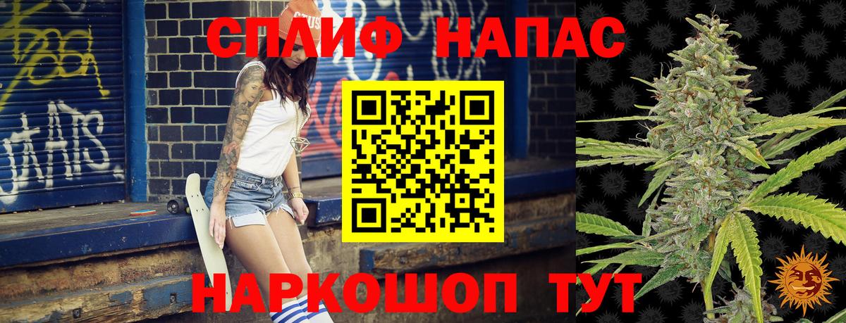 Бошки марихуана семена  МАРИХУАНА тримм  Вход с VPN  Михайловск  Каннабис сатива 